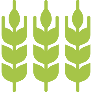 bio-buur-icons6